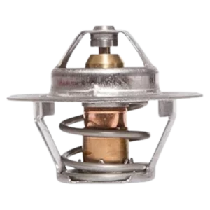 Calorstat TH4046.86J Thermostat d'eau